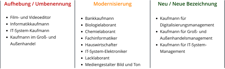 Aufhebung / Umbenennung  •	Film- und Videoeditor •	Informatikkaufmann •	IT-System-Kaufmann •	Kaufmann im Groß- und Außenhandel     Modernisierung  •	Bankkaufmann •	Biologielaborant •	Chemielaborant •	Fachinformatiker •	Hauswirtschafter •	IT-System-Elektroniker •	Lacklaborant •	Mediengestalter Bild und Ton       Neu / Neue Bezeichnung  •	Kaufmann für Digitalisierungsmanagement •	Kaufmann für Groß- und Außenhandelsmanagement •	Kaufmann für IT-System-Management